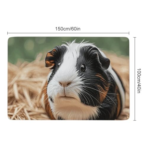 Grand tapis de bain antidérapant velours corail cochon d'Inde lavable - 4
