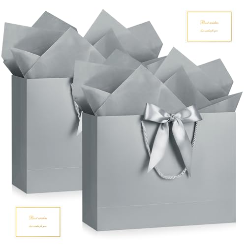 Image of JMANNI Gift Bags with Handles, 13 inch Medium Gift Bag for Presents, 2 Pcs Bags with 4 Tissue Paper and 2 Cards for Baby Shower Wedding Bridal Shower Mother's Day Birthday Party(champagne)