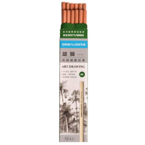 Disegno professionale matita schizzo, carbonio disegno schizzo matita 6B, forniture d'arte