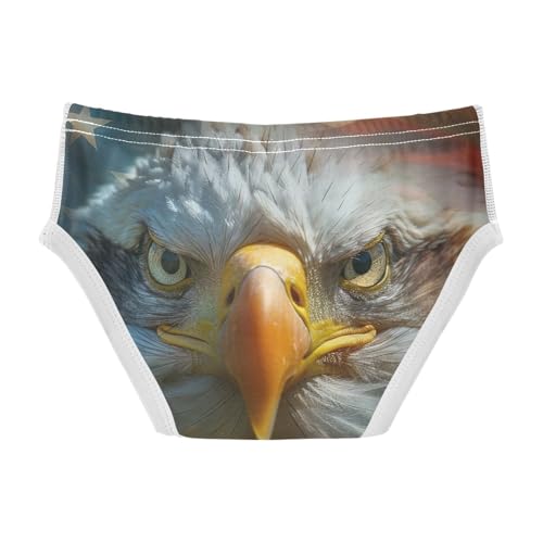 American Flag Bald Eagle 4th Of July Independence Day Toddler Boy's Underwear 2T 202b54602