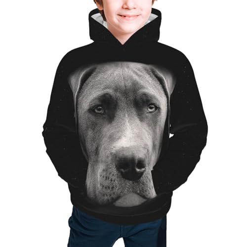 Pit Bull Boy, Girls Sports Shirt Youth Pullover Fashion Hooded Sweatshirt