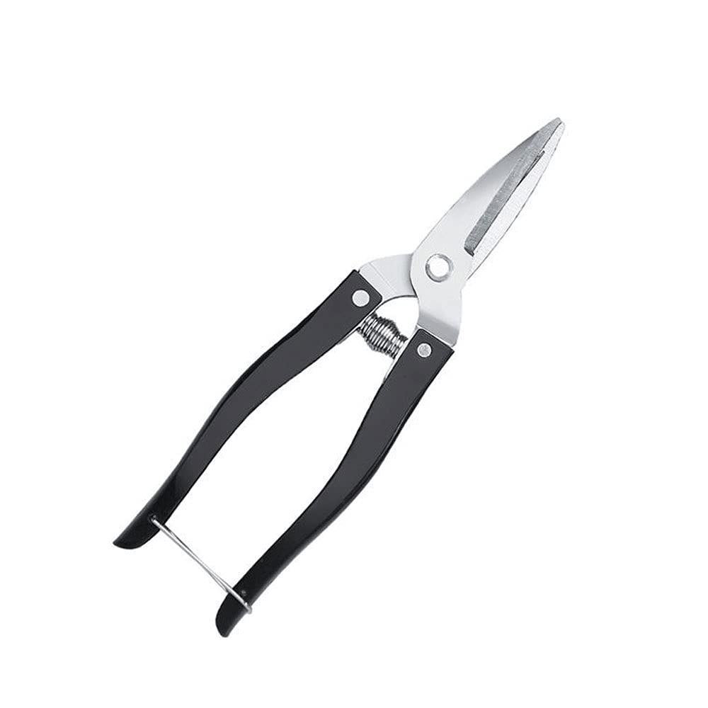 GLJTUO Office Scissors,Craft Scissors,Gardening Shears, Suitable for Pruning Potted Plants, Gardening Pruning, Gardening Flower Pruning, Orchard Pruning and Picking Fruits Sciss,Yellow