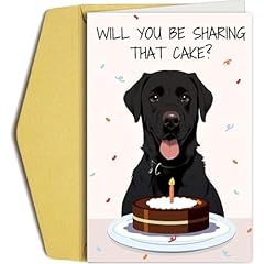 Dog Birthday Card