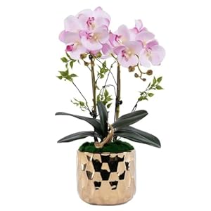 LAHTIQWE Künstliche Orchideen im goldenen Topf