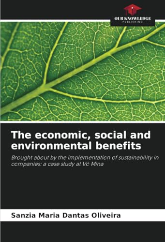 The economic, social and environmental benefits: Brought about by the implementation of sustainability in companies: a case study at Vó Mina
