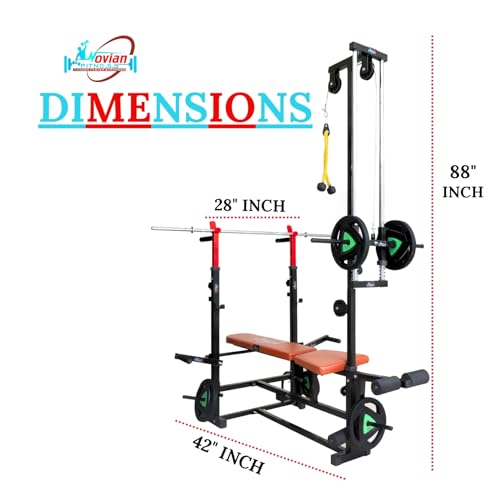 Image of 20-in-1 Home Gym Bench for Home Workout | All-in-One Home Gym Machine with Curl Rod, Dip Bar & Adjustable Incline /Decline Bench | Heavy-Duty Iron Frame, 250 kg Capacity