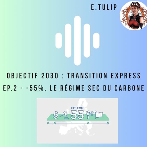 -55%, le r&eacute;gime sec du carbone...