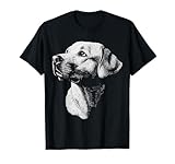 DogtastiQ