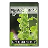Sow Right Seeds - Bells of Ireland Flower Seeds for Planting - Unique Green Flowers to Plant in Your Home Garden - Non-GMO Heirloom Packet with Instructions - Annual Blooms Attract Pollinators