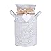 HEMOTON Vaso rustico shabby chic stile retrò brocca vaso zincato latte lattina titolare ferro arte piante grasse fiore espositore contenitore per casa ufficio giardino argento