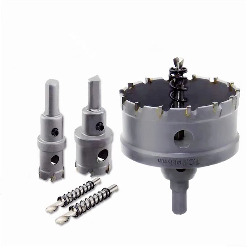 アクリル画　バルタサール・カルロスの模写 アクリル画 バルタサール・カルロスの模写 きょうの絵画 (洋画