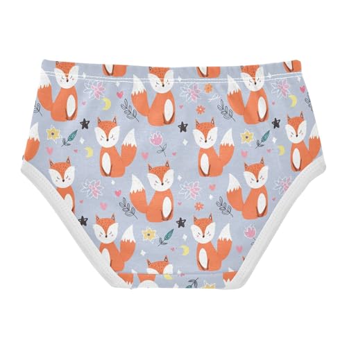 Cute Fox Flowers Floral Gray Toddler Girls's Underwear 2T 23018832