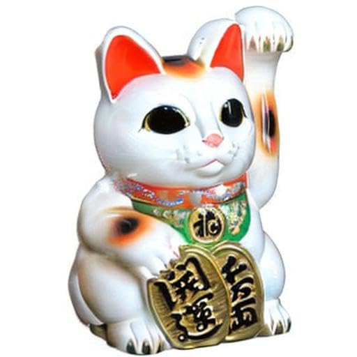 Amazon.co.jp: 招き猫 15号 開運白手長小判猫（左手） 常滑焼 : ホーム