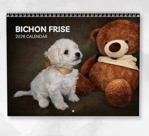 Bichon Frisé-Kalender 2026 Monatlicher Wandkalender mit Notizen, hängend im A4-Format, inklusive Schlüsseldaten & Feiertagen