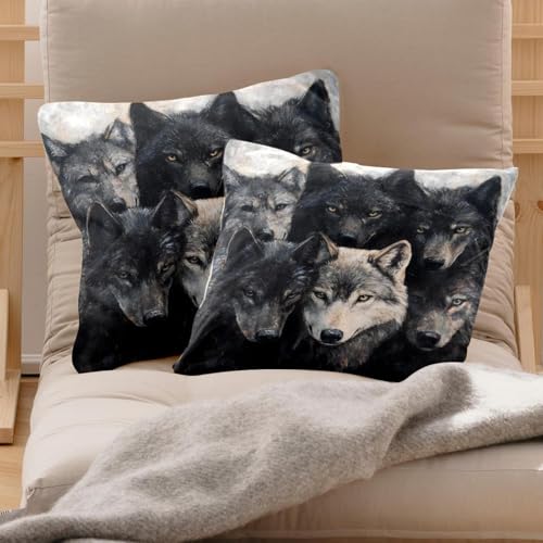 Fundas de cojín de terciopelo de doble cara con acabados de alta calidad 50x50cm 3
