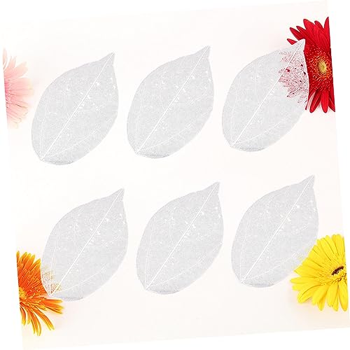 6 Pack de Hojas Secas Naturales para Manualidades miniatura 2