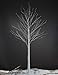 LIGHTSHARE 8 Feet 132L LED Birch Tree Lights, Pack of 2, Warm White, for Holiday Party and Christmas Decoration, Indoor and Outdoor Use