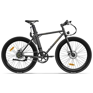 Officieel | Fafrees F1 Elektrische Fiets, 27.5″ Ebike 700C*28C, 250W Motor Verwijderbare batterij 36V 8.7Ah 300Wh, LED Display Stad Elektrische Fietsen Heren en Dame, 2022 Nieuwe