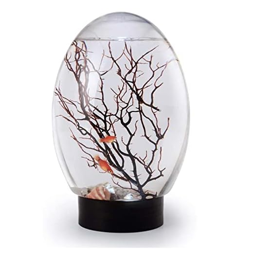 YYDX Spherical Closed Aquatic Ecosystem, Small Fish Tank Ecosphere with LED Lighting Black…