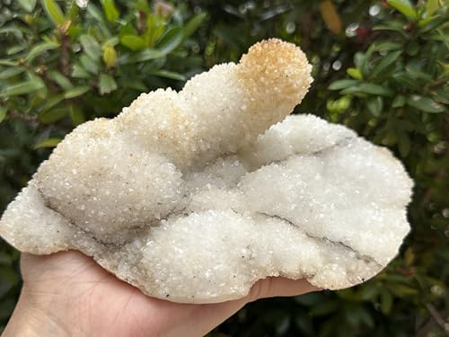 Image of GAF TREASURES Chalcedony & Crystal Quartz Stalactite 3-8 inch, Natural Quartz on Chalcedony Stalactite Specimen (3-4 lb)