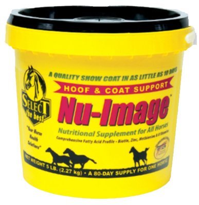 Animal Health International NU-Image HOOF & Coat Support for Horses