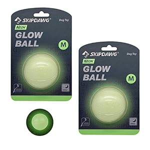 SKIPDAWG Interactive Dog Glow Balls, Rubber Dog Balls Light Up in The Dark, Dog Toys Squeaky Balls Durable TPR Light Weight, Bouncy Glowing Balls for Dogs Size 2.5 Inches, 2 Pack