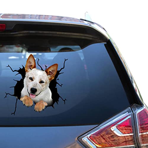 Red Heeler Gifts Blue Heeler Car Sticker Kawaii Transparent Office Toys for Kids Vinyl Glass Sticers