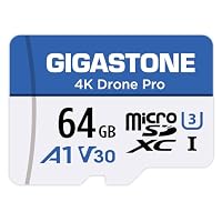 5 anni di recupero dati gratuito] GIGASTONE Scheda di memoria da 256