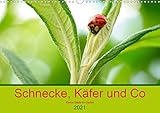 ÖKOLOGISCH - Der CALVENDO Verlag ist ein ökologisch agierendes Unternehmen, das sich zielorientiert für Umweltschutz und Nachhaltigkeit einsetzt. Durch die bedarfsgerechte Einzelfertigung im Print-on-demand Verfahren entsteht eine deutliche Abfallreduzierung. Dabei verwendet CALVENDO nur Papier, das den FSC-Vorgaben entspricht. Die Druck- und Produktionsstandorte befinden sich in Deutschland (Qualität Made in Germany) = klimabewusste Logistik durch kurze Transportwege.