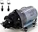 Shurflo 8000-533-236 Automatic-Demand 115 VAC Diaphragm Pump with Male 3/8