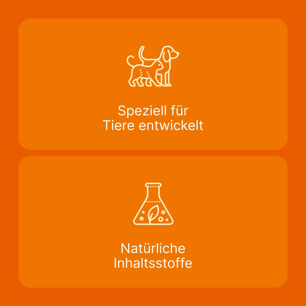 SUC-Kombination von Heel Vet | 3x10 Ampullen | Natürliche Tierarzneimittel für Hunde und Katzen | Made in Germany