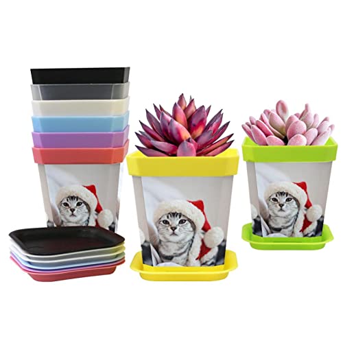 Lot de 8 pots de fleurs en plastique pour semis, chambre d'enfant, barbier, motif chat mignon sur chapeau de Noël, pot de fleurs avec plateau, 8 couleurs Cover