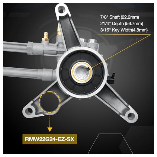 RMW22G24-EZ-SX High Pressure Washer Pump