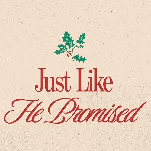 JUST LIKE HE PROMISED || HOW TO HAVE A USELESS HOLIDAY
