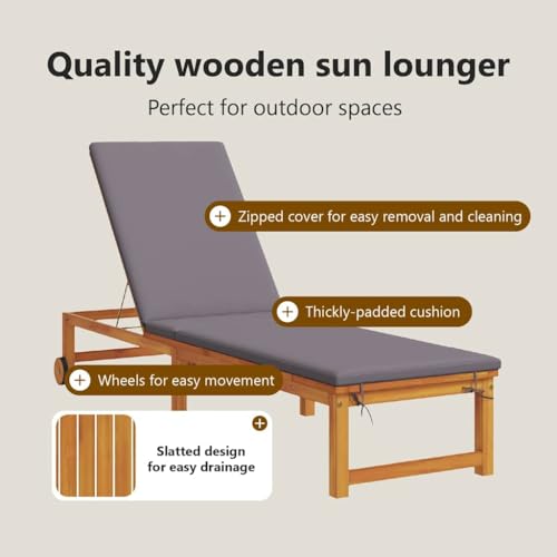 Lit de soleil de jardin marron résistant aux intempéries avec dossier