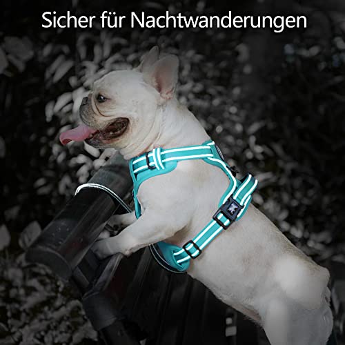 PoyPet Hundegeschirr ohne Zug, Reflektierendes Hundegeschirr für mittelgroße Hunde ohne Würgen, verstellbare, weich gepolsterte Haustierweste mit einfachem Steuergriff (Mint Blau Passender Trimmen, M)