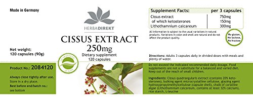 Cissus quadrangularis Kapseln 250mg – 120 vegane Kapseln