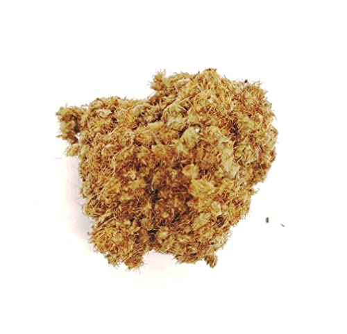 al badil Coller serrer plante Cover