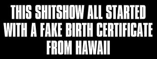 This Shitshow All Started with a Fake Birth Certificate from Hawaii Bumper Sticker (Trump Anti Barack Obama Biden Liberal Vinyl Decal for car Truck (3 x 8 inch)