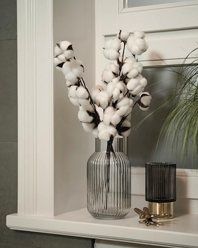 Echter Baumwollzweig 1 Stiel mit je 10 Köpfen, getrocknete Baumwolle Zweig weiß Baumwolle Deko für Vasen, Trockenblumenstrauß, als Hochzeitsdeko oder Tischdekoration, Dried Flowers Cotton