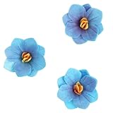 ROSEDECOR