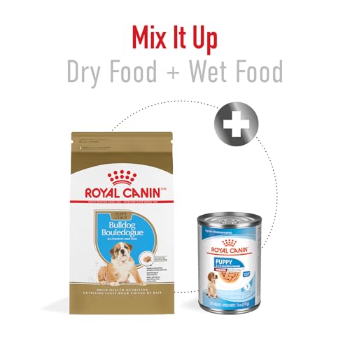 ROYAL CANIN Breed Health Nutrition Bulldog Puppy Dry Dog Food, 6-Pound by Royal Canin