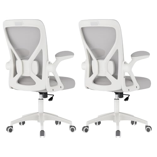 Image of VASAGLE Ergonomic Mesh Office Chairs with Adjustable Lumbar Support, 90-105 Tilt Function, Wide Seat, Flip‑Up Armrests, Computer Desk Chairs for Home Office, Set of 2, Dove Gray