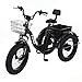 Electric Tricycle for Adults,Fat Tire Folding Electric Trike,3 Wheels Electric Bicycle Bikes, 48V 12Ah Step-Thru Etrike with Removable Battery and Large Basket for Women Men Deliver a car fridge