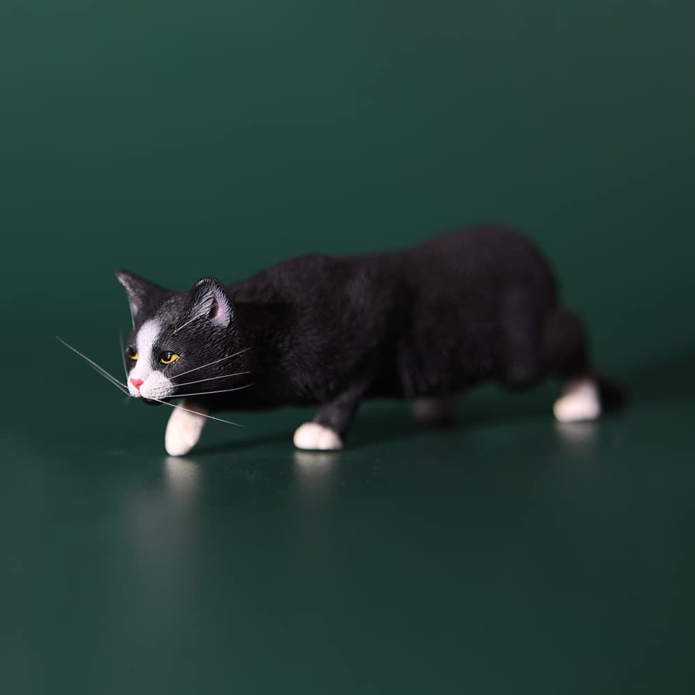 中華田園猫 Amazon co jp JXK 捕食中の中華田園猫 複雑なテクスチャ