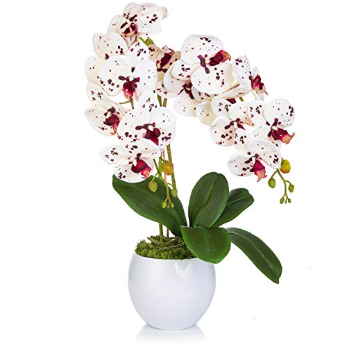 First Polska Künstliche Orchidee Kunstblumen Kunstpflanze Gesteck gesamt. H:60cm Cover