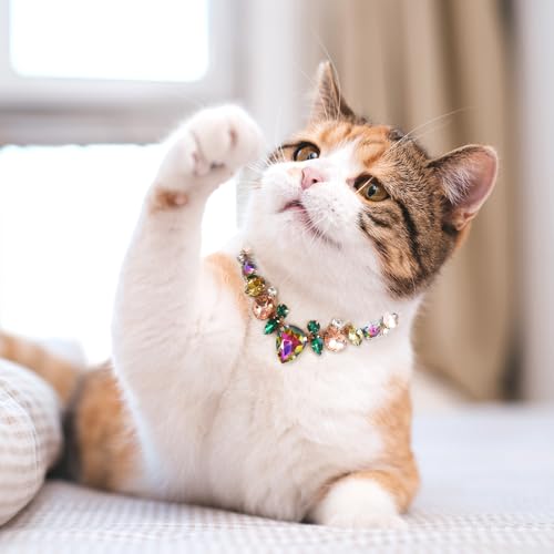 Image of HOWWFALY Dog Collar and Cat Collar Gold Chain Necklace Stainless Steel Adjustable Yellow Diamonds Collar with Cute Pet Paw for Small Medium Pets Cats Dogs Kitten Puppy