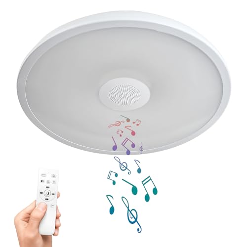 liibodi Smart Waterproof LED Flush Mount Ceiling Light Fixture,with Bluetooth Speaker,11 Inch,18 watt,Dimmable Music Lamp,RGB Color Changing Light with Remote Control,for Bathroom,Shower,Bedroom