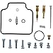 All Balls Carburetor Rebuild Kit 26-10019 Compatible With/Replacement For Honda NSS250 2001-2007