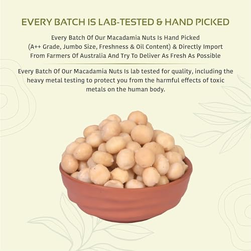 Image of NUTTY ORGANICS Macadamia Nuts - 100G From Aaustralia (Grade A ++ Nuts, Premium Jumbo Size)